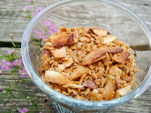 Kokos crunch uden sukker