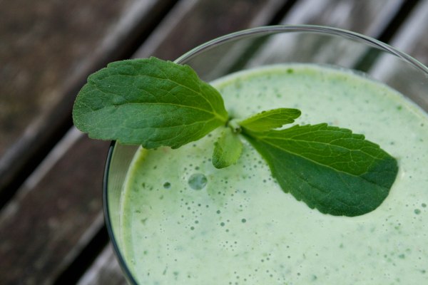 Spinat Smoothie i 2 varianter