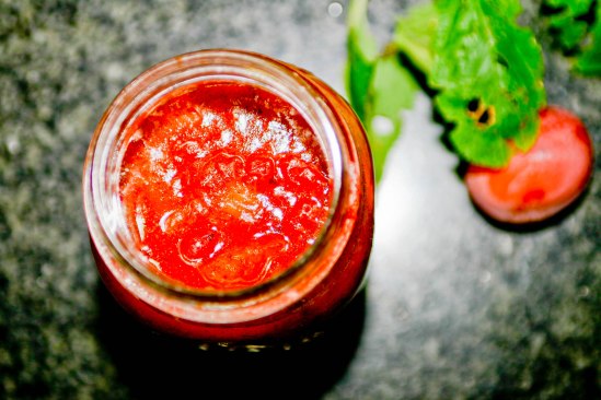 Sukkerfri blommemarmelade med ribs og æbler