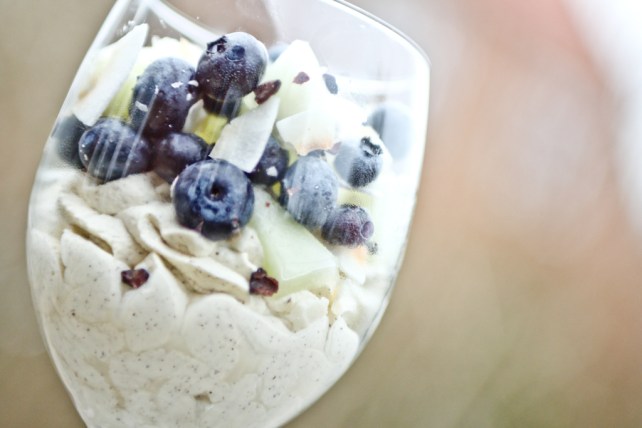 Vaniljefløde med bær og melon LCHF