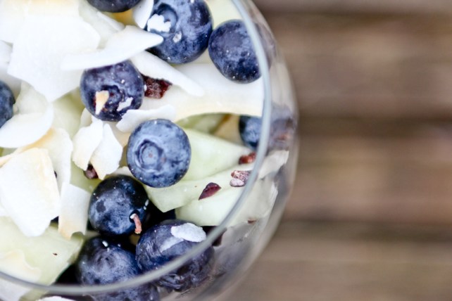 Vaniljefløde med bær og melon LCHF