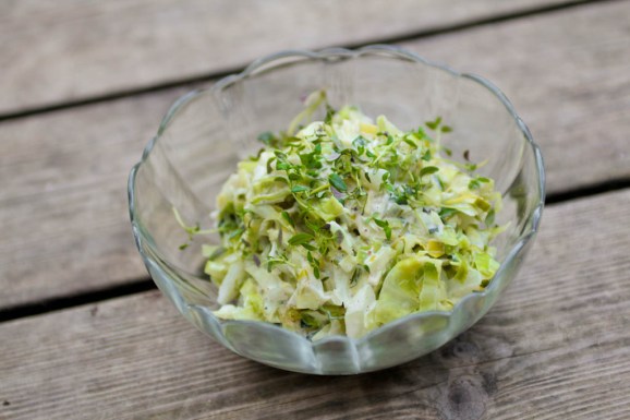 Spidskål og porre med fløde og Pofiber