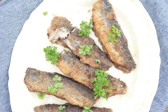Stegte sild med low carb panering