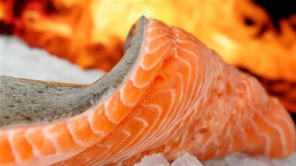 Noget om det gode fedt. - laks