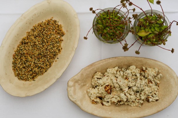 Tomatsalat med ristet ricotta og hampefrø