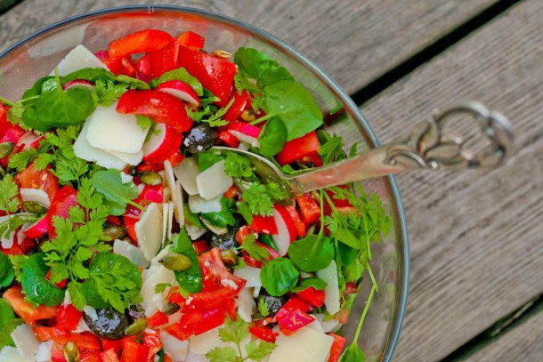 Spicy rød salat med knas og friske krydderurter 5