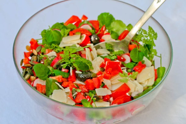 Spicy rød salat med knas og friske krydderurter 1