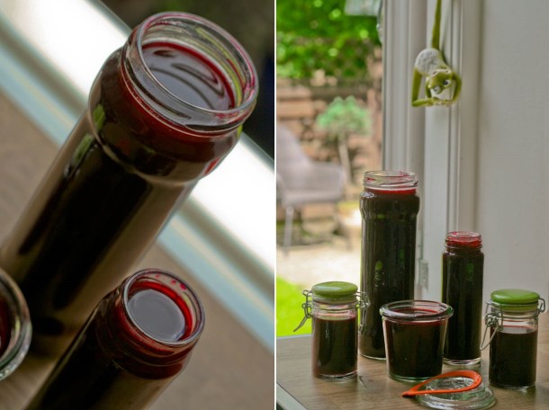 Krydret solbær og ribs gele 4