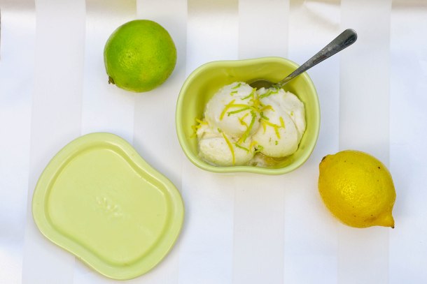 Citrus Vanilje Sorbet-2