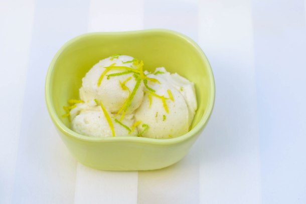 Citrus Vanilje Sorbet-4