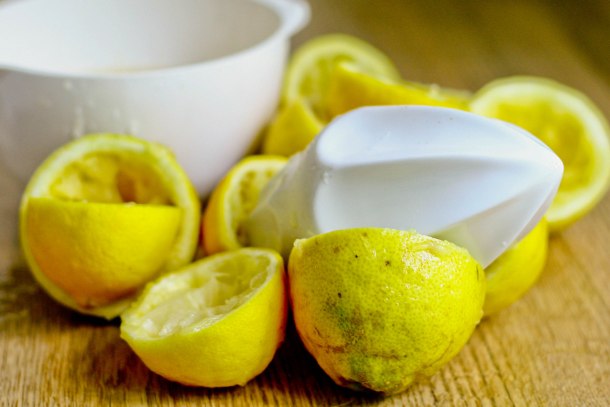 Citrus vanilje sorbet