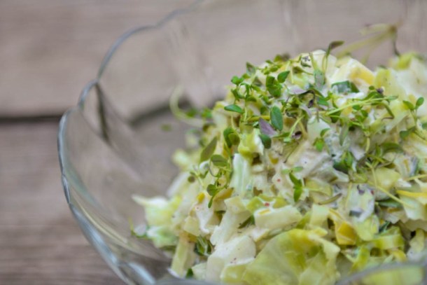 Stuvet spidskål med porre 2