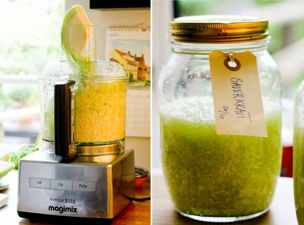 Fermenteret hvidkål - Sauerkraut - Coleslaw