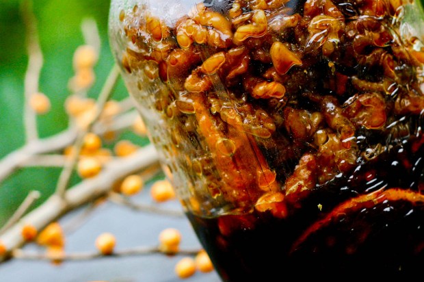 Syltede valnødder i Cointreau og Yaconsirup