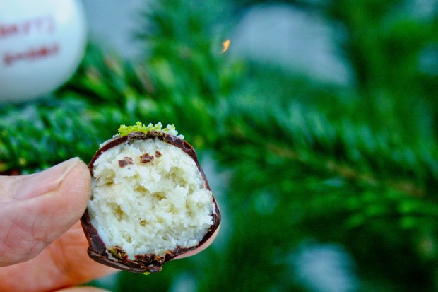 Bountykugler med kondenseret mælk-5