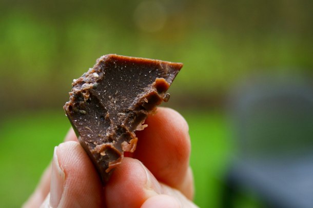 Chokoladebomber (fatbombs)-2