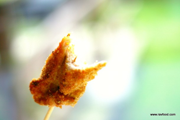 Kyllingfilet med flæskesværspanering