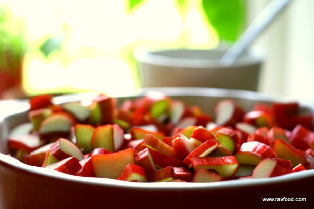 Rabarber med kokoscrumble og vaniljefløde