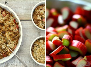 Rabarber med kokoscrumble og vaniljefløde