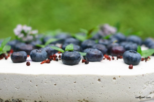 Blåbærfromage blåbær cheesecake