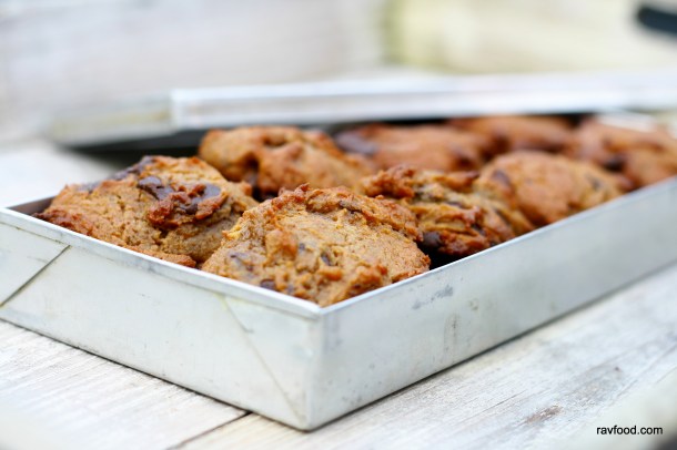 Chocolate Chip Bites