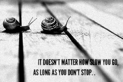 12189160_10153706819098537_4974105590741962321_n