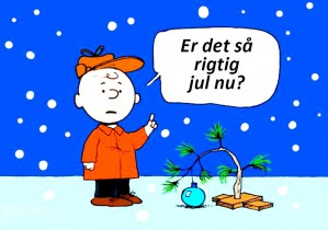 Low carb juleopskrifter