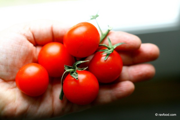 Sense - slank med fornuft