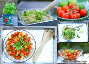 Tomatsalsa og guacamole