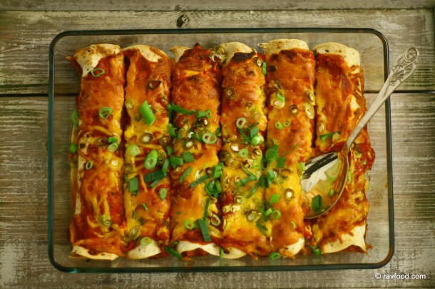 Enchiladas med kylling