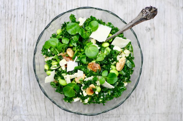 Grønkål, blomkål, edamamebønner, mandler, tranebær, parmesan