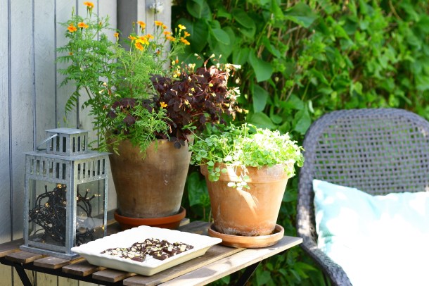 Chokoladebrud med flagesalt, hassel- og pistacienødder