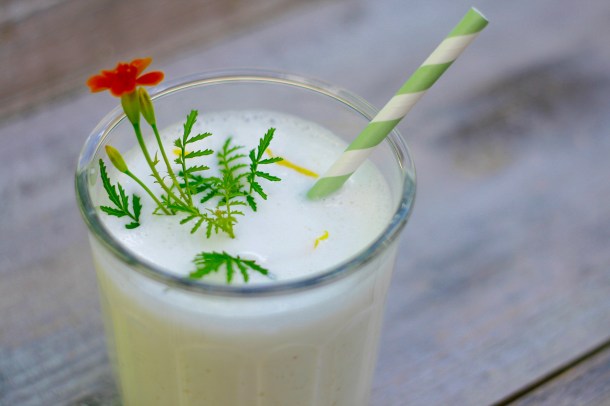 Citrusshake, koldskål