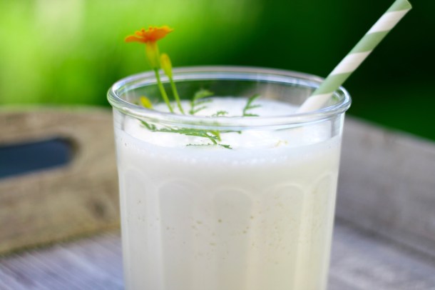 Citrusshake, koldskål