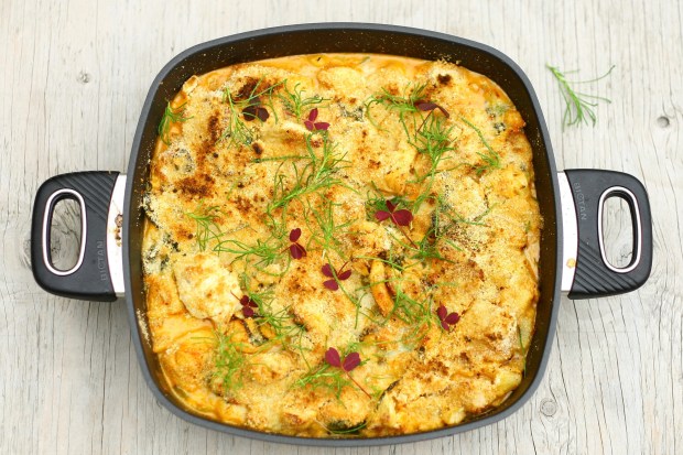 Blomkålsfad med kylling