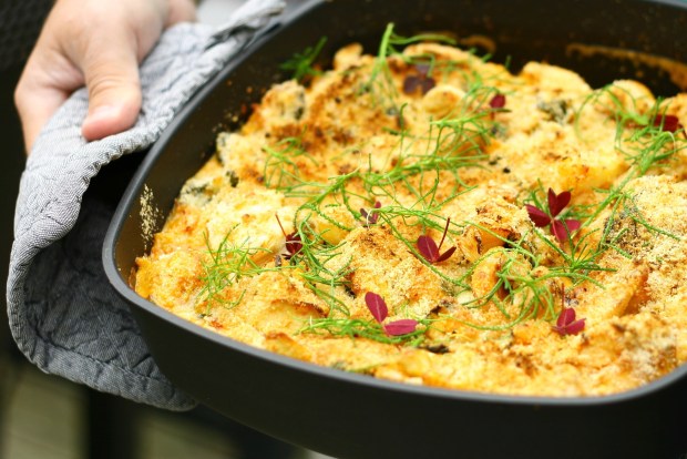 Blomkålsfad med kylling