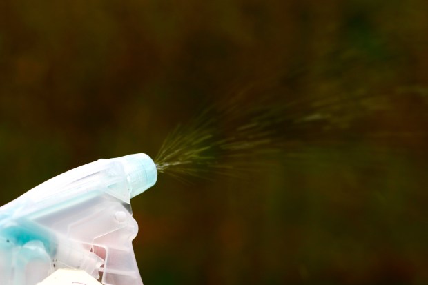 Hjemmelavet kalkfjerner