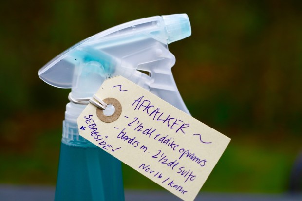 Hjemmelavet kalkfjerner