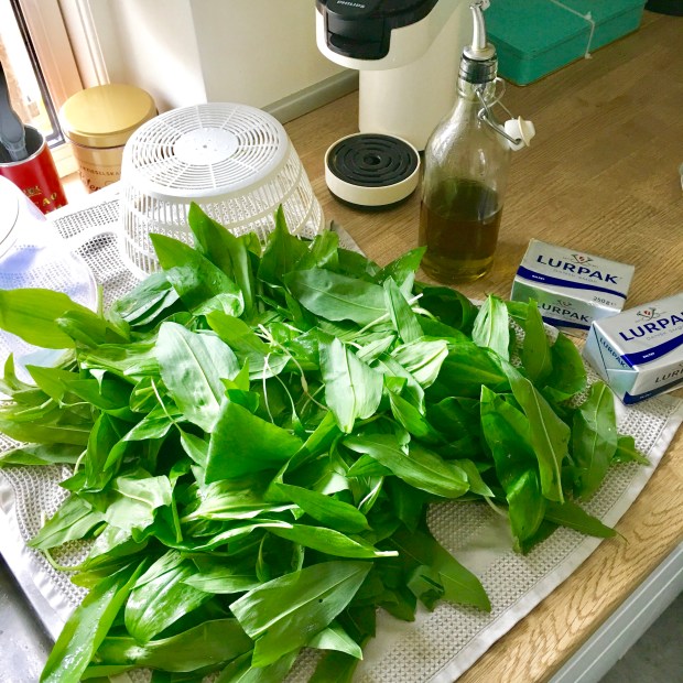 Ramsløgpesto med olivenolie