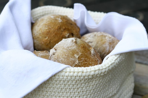 IMG_1882Langtidshævede valnøddeboller